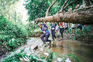 BIB: 
                            <button type="button" onclick="openModal(25515434)" class="btn btn-primary btn-sm float-right btn-popup" data-toggle="modal" data-target=".modal-high-quality">
                        <i class="fas fa-shopping-cart"></i> Add to Cart
                    </button>
                                            <button type="button" onclick="isThisMe(25515434, true)" class="btn btn-success btn-sm float-right btn-popup btn-isme hidden" data-toggle="tooltip" data-placement="bottom" title="นี่คือรูปของคุณใช่ไหม คลิกที่นี่เพื่อเอาเข้าอัลบั้ม">
                        <i class="fas fa-plus"></i> Add to album
                    </button>
                    <button type="button" onclick="isThisMe(25515434, false)" class="btn btn-warning btn-sm float-right btn-popup btn-isnotme hidden">
                        <i class="fas fa-ban"></i> Remove from album
                    </button>